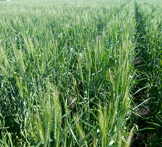 ����10̖(h��o)-С���N��-���S�N�I(y��)