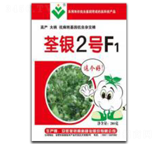 ���y2̖-�޻��N��-���y�߿�