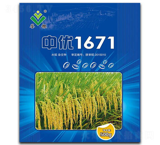 中優(yōu)1671-水稻種子-荃銀高科