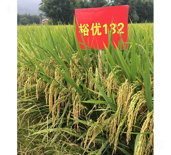 ԣ��(y��u)132-ˮ���N��-�r���N��