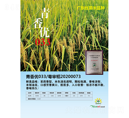 青香優(yōu)033-水稻種子-鮮美種苗