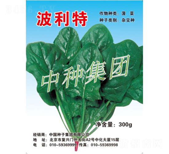 波利特-菠菜種子-中種集團(tuán)