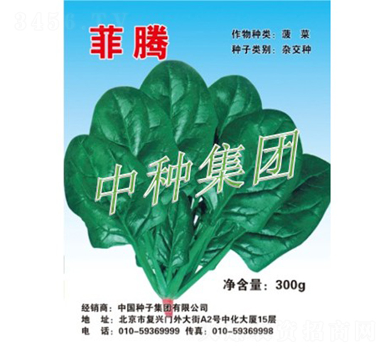 ���v-���˷N��-�зN���F(tu��n)