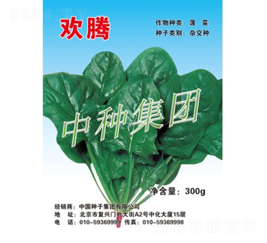 歡騰-菠菜種子-中種集團