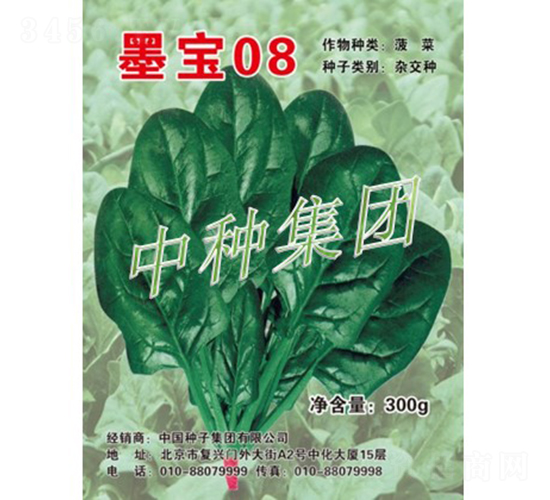墨寶08-菠菜種子-中種集團