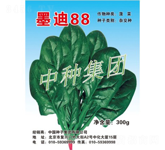 墨迪88-菠菜種子-中種集團