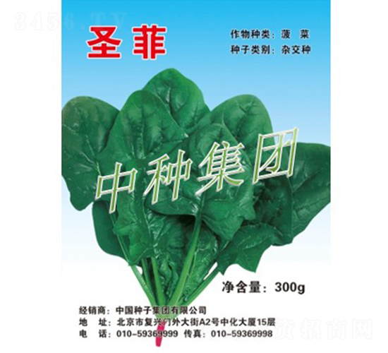 圣菲-菠菜種子-中種集團(tuán)