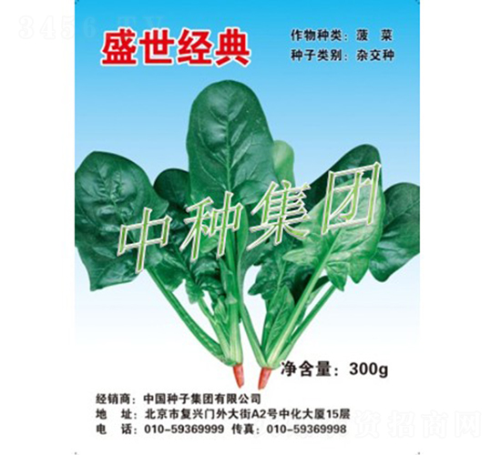 盛世經(jīng)典-菠菜種子-中種集團