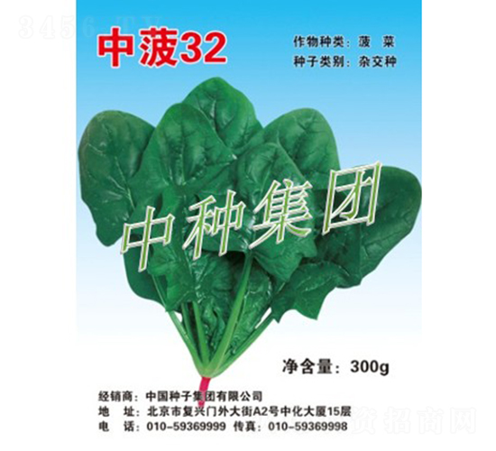 中菠32-菠菜種子-中種集團(tuán)