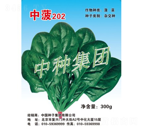 中菠202-菠菜種子-中種集團(tuán)