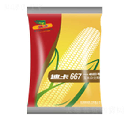 �Ͽ�667-���׷N��-�зN���F(tu��n)