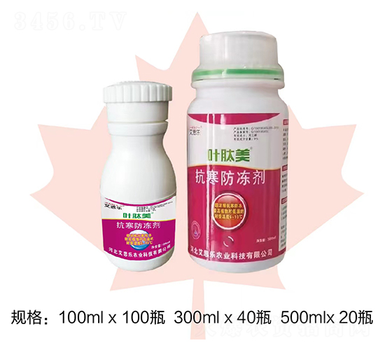 ����������-�~����-��˼��