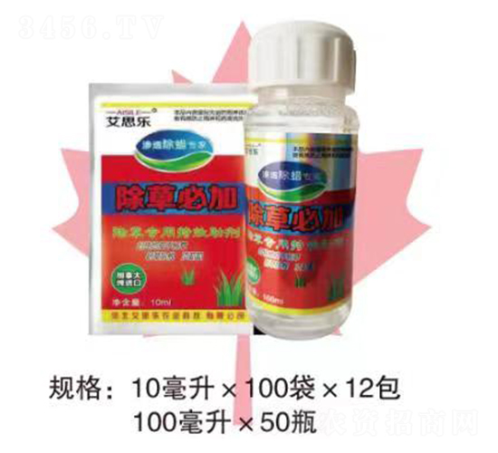 ���݌��ÝB͸��Ϟ����-��˼��