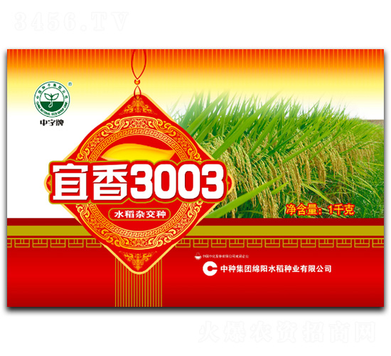 ����3003-ˮ���N��-�зN���F(tu��n)