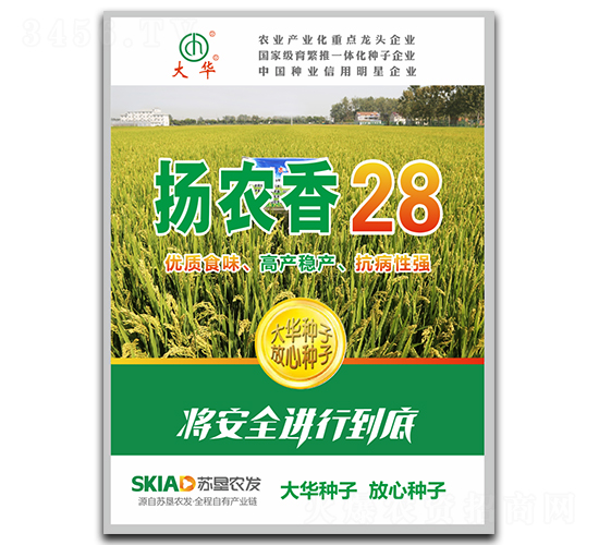 揚(yáng)農(nóng)香28-水稻種子-大華種業(yè)