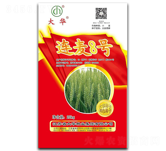 �B��8̖-С���N��-���A�N�I(y��)