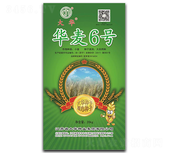 �A��6̖-С���N��-���A�N�I(y��)