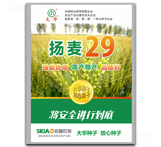 �P��29-С���N��-���A�N�I(y��)