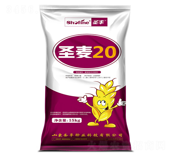 ʥ��20-С���N��-ʥ�S�N�I(y��)