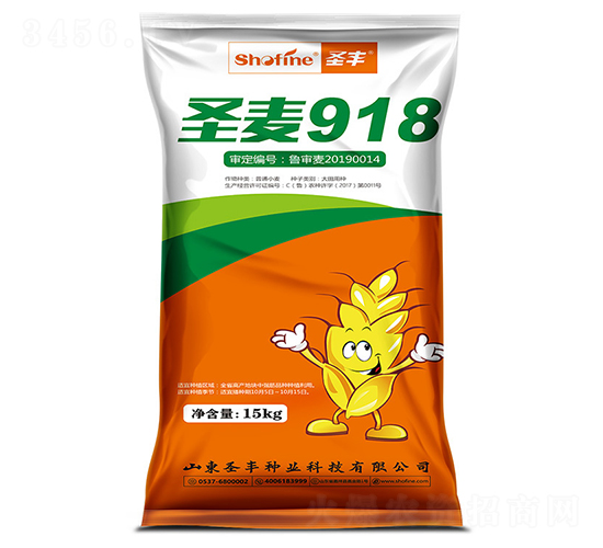 圣麥918-小麥種子-圣豐種業(yè)
