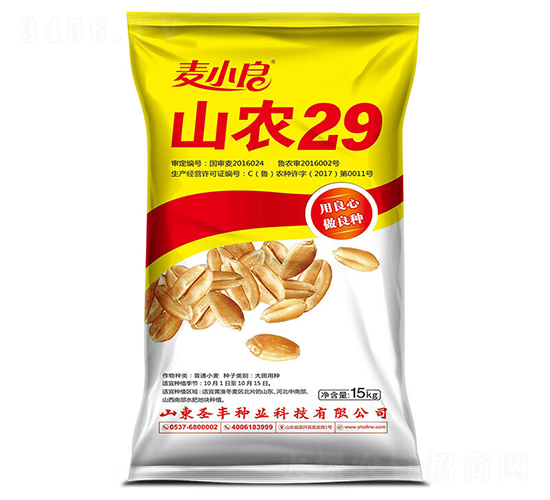 ɽ�r(n��ng)29-С���N��-ʥ�S�N�I(y��)