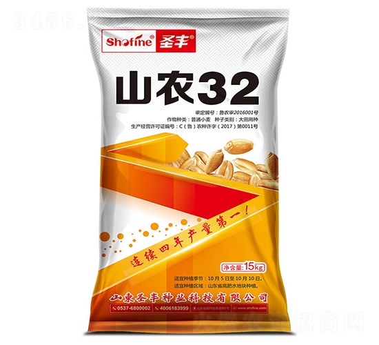 山農32-小麥種子-圣豐種業(yè)