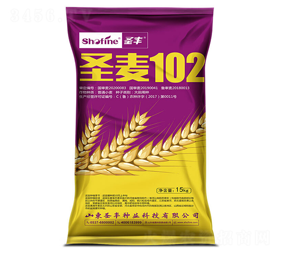 圣麥102-小麥種子-圣豐種業(yè)