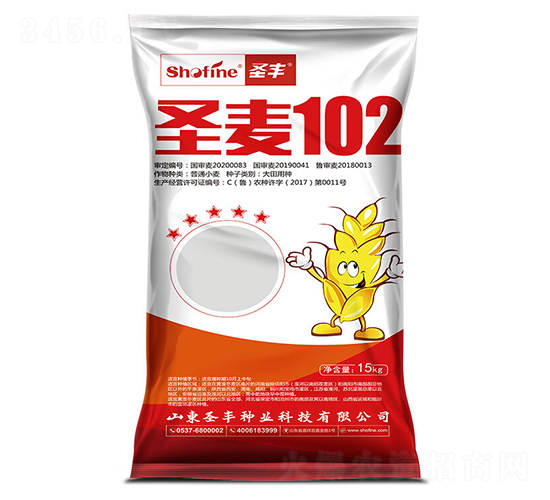 15kg圣麥102-小麥種子-圣豐種業(yè)