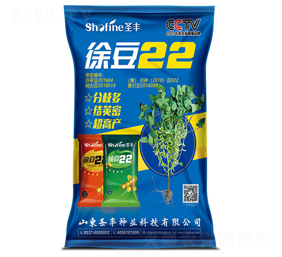 徐豆22-大豆種子-圣豐種業(yè)