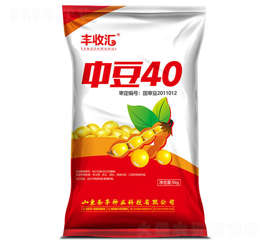 中豆40-大豆種子-圣豐種業(yè)
