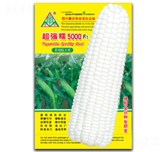 超強(qiáng)糯5000-糯玉米種子-全興種業(yè)