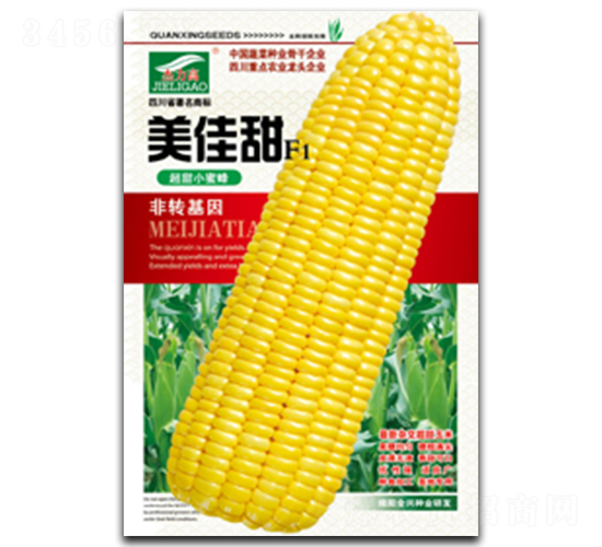 美佳甜-糯玉米種子-全興種業(yè)