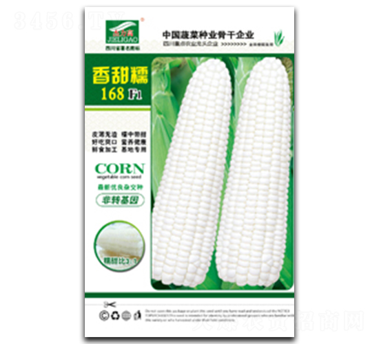 香甜糯168-糯玉米種子-全興種業(yè)