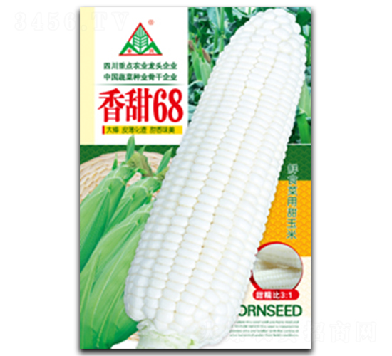 香甜68-糯玉米種子-全興種業(yè)