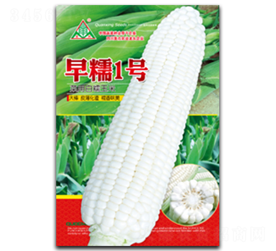 早糯1號-糯玉米種子-全興種業(yè)