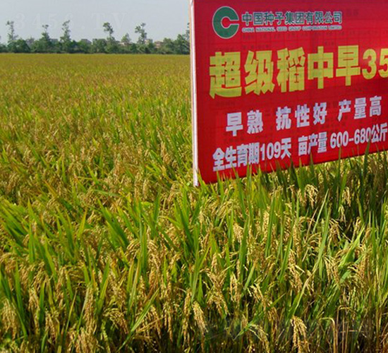 ����35-ˮ���N��-�зN���F(tu��n)