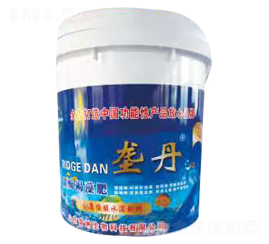 �ŵ�̼ø�����-�׼{����