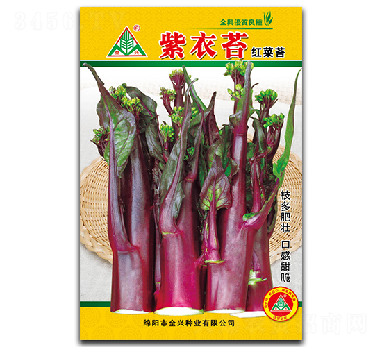 紫衣苔-菜苔種子-全興種業(yè)