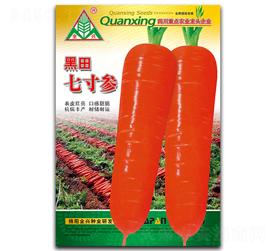 黑田七寸參-蘿卜種子-全興種業(yè)