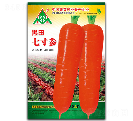 黑田七寸參-胡蘿卜種子-全興種業(yè)