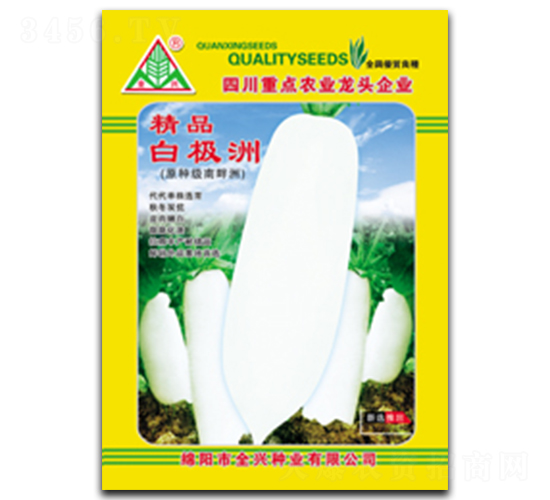精品白極洲-長白蘿卜種子-全興種業(yè)