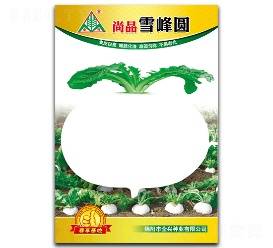 尚品雪峰圓-圓白蘿卜種子-全興種業(yè)