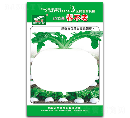 春不老-圓白蘿卜種子-全興種業(yè)