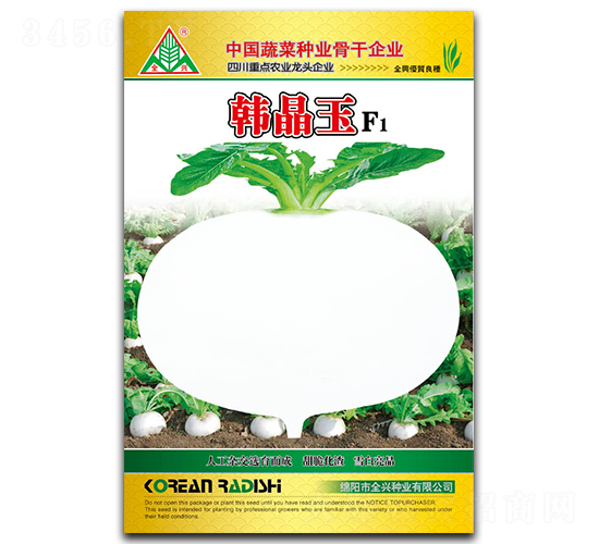 韓晶玉-圓白蘿卜種子-全興種業(yè)