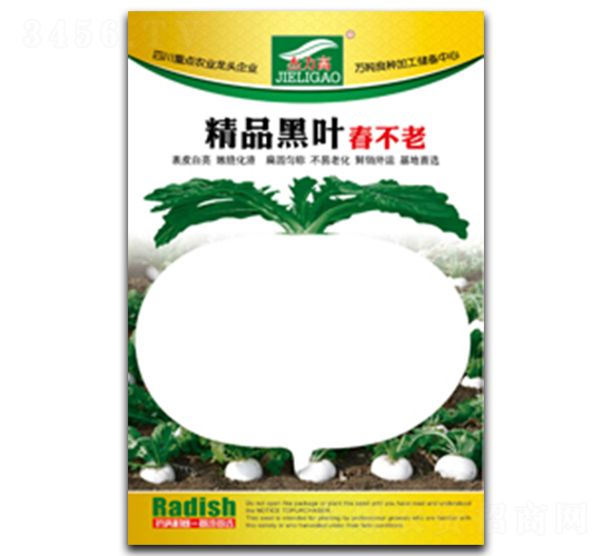 精品黑葉春不老-圓白蘿卜種子-全興種業(yè)