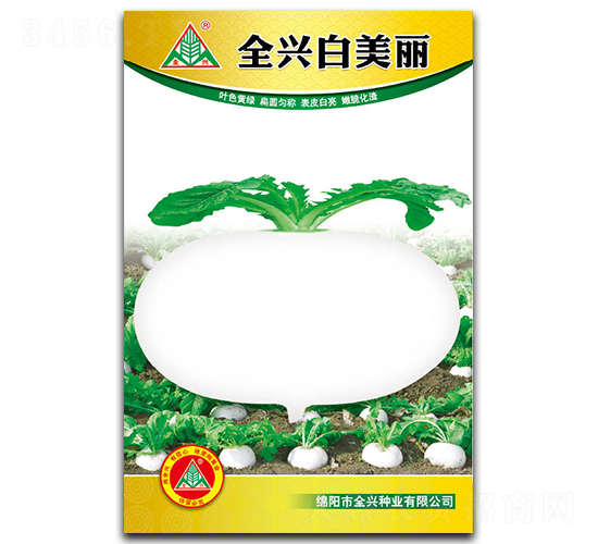 全興白美麗-圓白蘿卜種子-全興種業(yè)