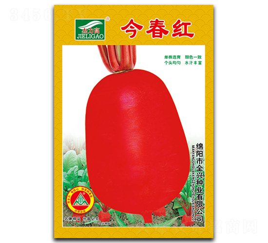 今春紅-紅皮蘿卜種子-全興種業(yè)