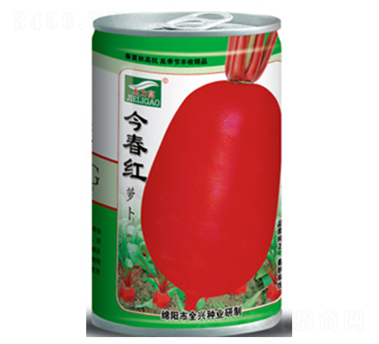 今春紅（罐）-紅皮蘿卜種子-全興種業(yè)