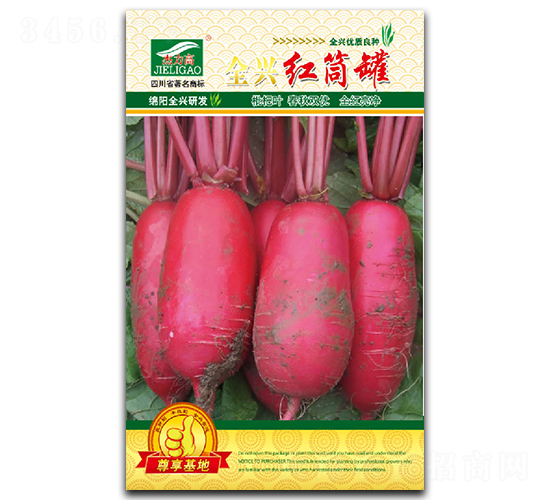 全興紅筒罐-紅皮蘿卜種子-全興種業(yè)