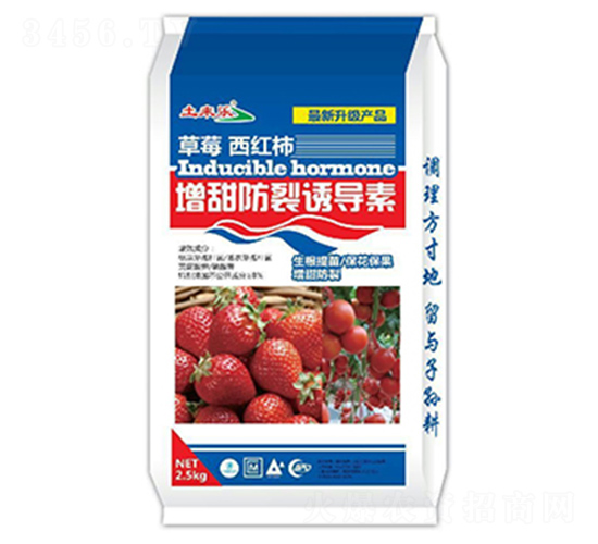 ��ݮ���t����������T��(d��o)��-����(l��i)��(l��)